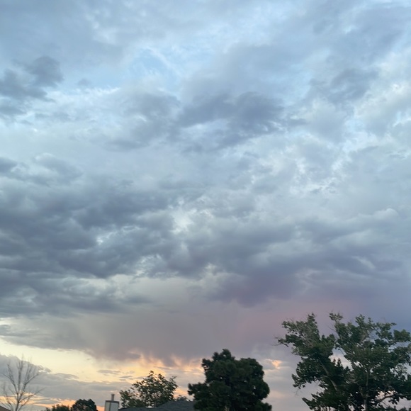 Meet your Posher, Lucinda - Picture 2 of 2